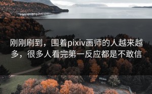刚刚刷到，围着pixiv画师的人越来越多，很多人看完第一反应都是不敢信
