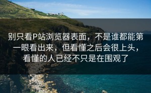 别只看P站浏览器表面，不是谁都能第一眼看出来，但看懂之后会很上头，看懂的人已经不只是在围观了