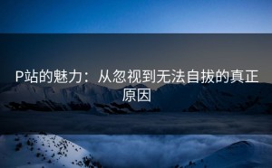 P站的魅力：从忽视到无法自拔的真正原因