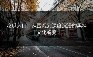 吃瓜入口：从围观到深度沉浸的黑料文化蜕变