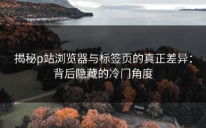 揭秘p站浏览器与标签页的真正差异：背后隐藏的冷门角度