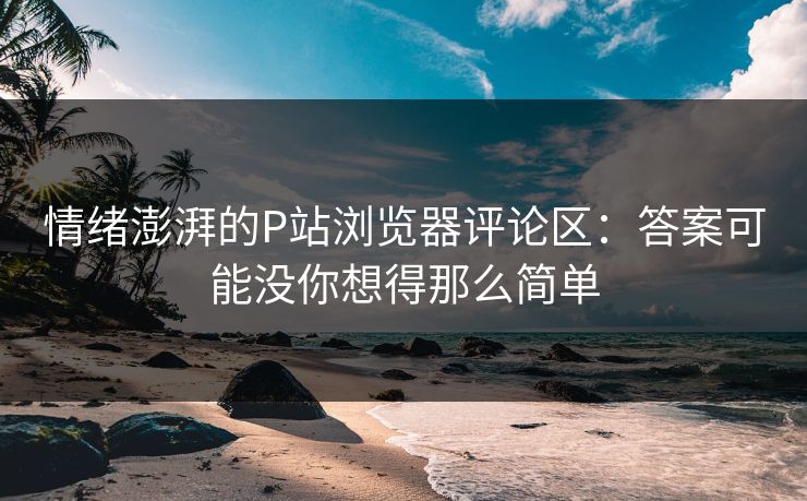 情绪澎湃的P站浏览器评论区:答案可能没你想得那么简单 情绪澎湃的P站浏览器评论区:答案可能没你想得那么简单